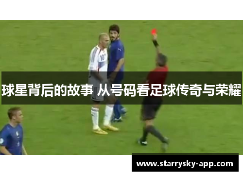 球星背后的故事 从号码看足球传奇与荣耀
